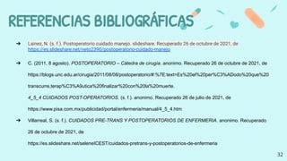  Uropygi: ¡Una Curiosa Araña con Cola que te Dejará Sorprendido por sus Habilidades de Defensa!