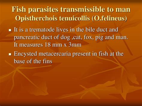  Tegumentarios: ¿Conoces al Trematodo que Vive Dentro de los Peces y Crea Quistes en sus Músculos?