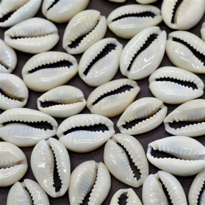  Venus Cowrie: ¿Una joya marina con un secreto de camuflaje?